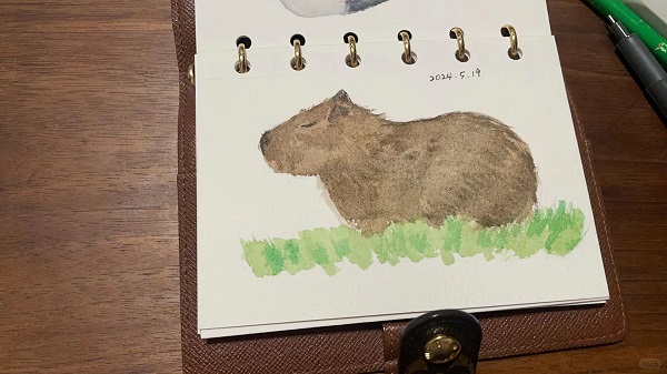 tranh vẽ Capybara 14