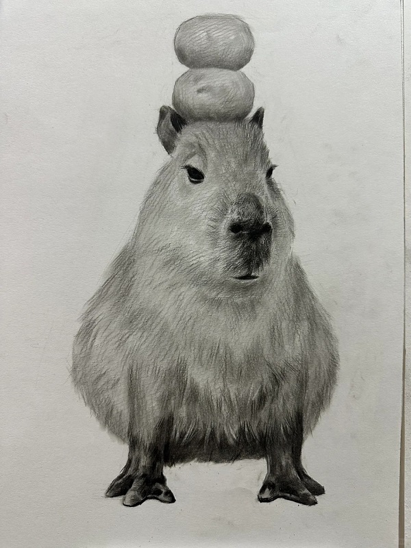 tranh vẽ Capybara bằng bút chì 30