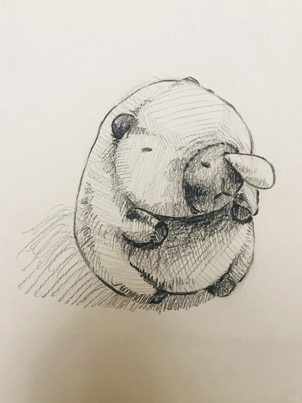 tranh vẽ Capybara bằng bút chì 31