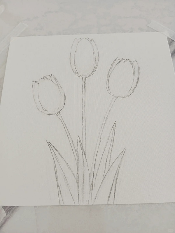 tranh vẽ hoa tulip 38