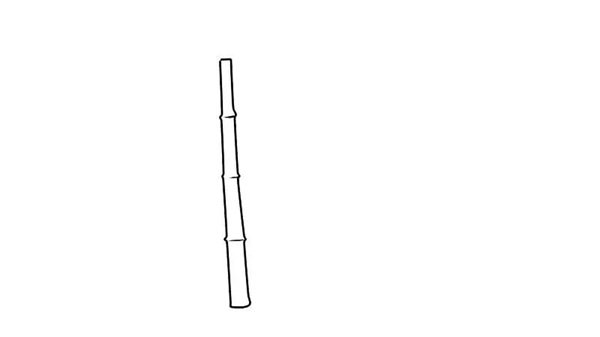 Cách vẽ cây tre dễ nhất  1