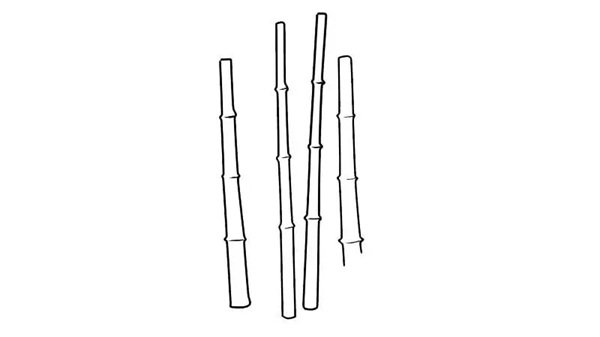 Cách vẽ cây tre dễ nhất 2
