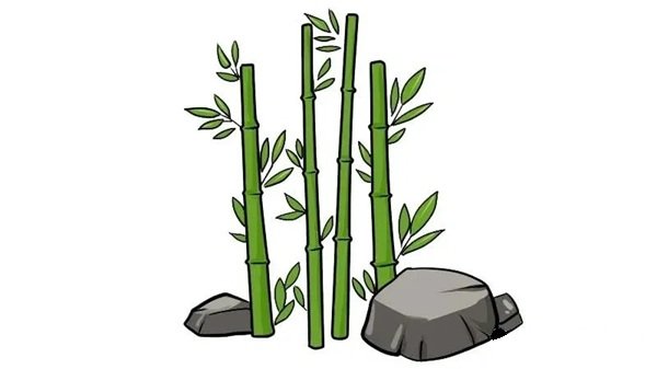 Cách vẽ câ y tre dễ nhất 