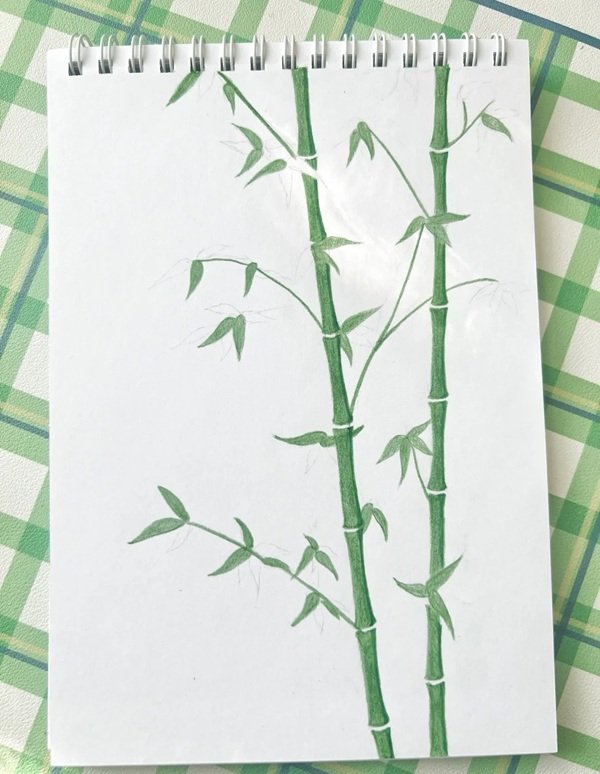 Cách vẽ cây tre đẹp 3
