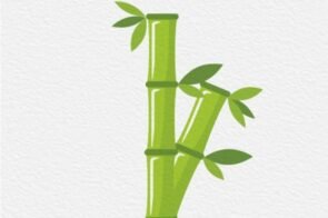 Tuyển tập 8+ Cách vẽ cây tre từ A-Z cho dân ghiền vẽ tay