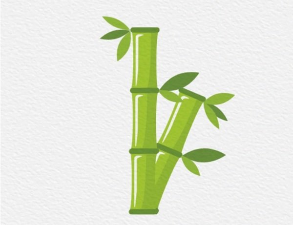 Cách vẽ cây tre đơn giản mà đẹp 