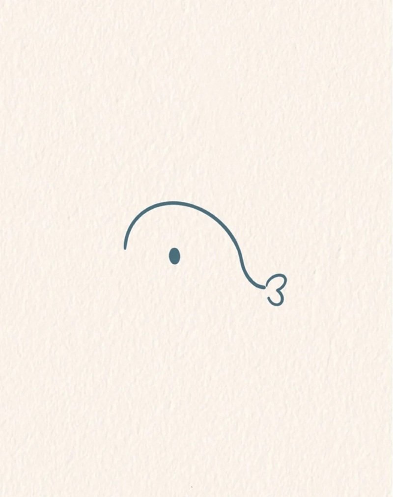 Cách vẽ con cá heo cute 2