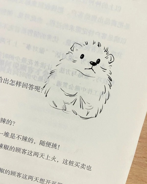 Cách vẽ con nhím cute 3