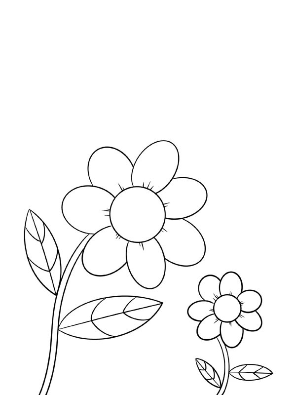 Cách vẽ con ong đơn giản  1