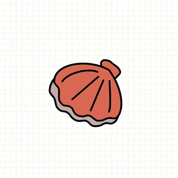 Cách vẽ con sò