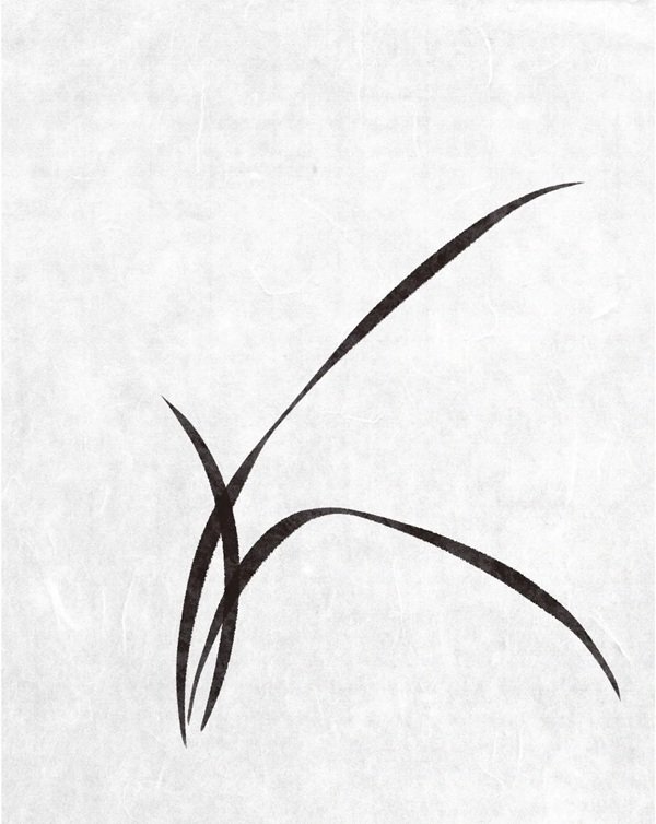 Cách vẽ hoa lan​ 3