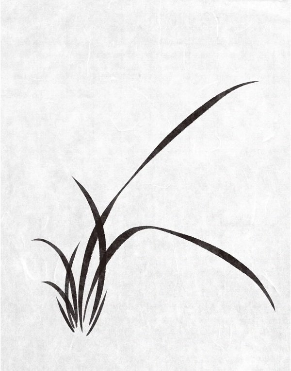 Cách vẽ hoa lan​ 4