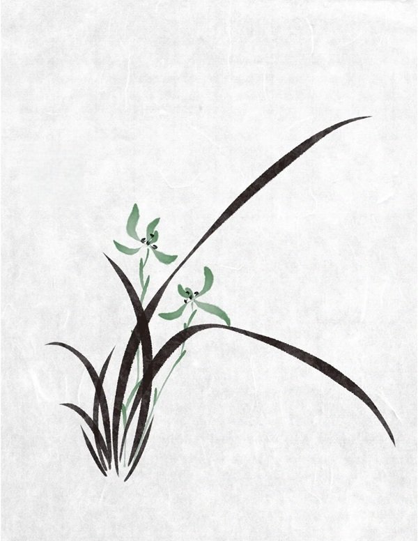 Cách vẽ hoa lan​  