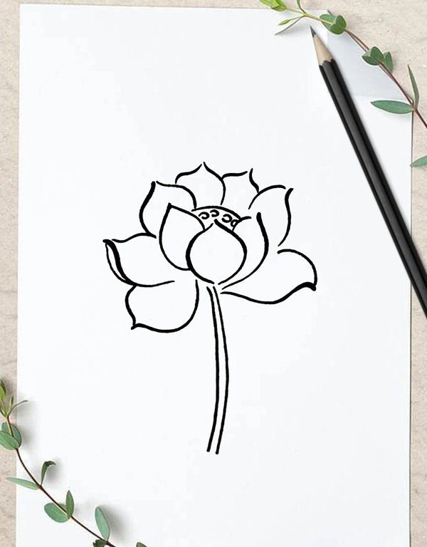 Cách vẽ hoa sen đẹp  