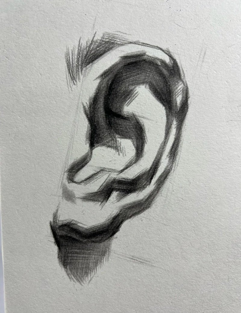 Cách vẽ tai 6