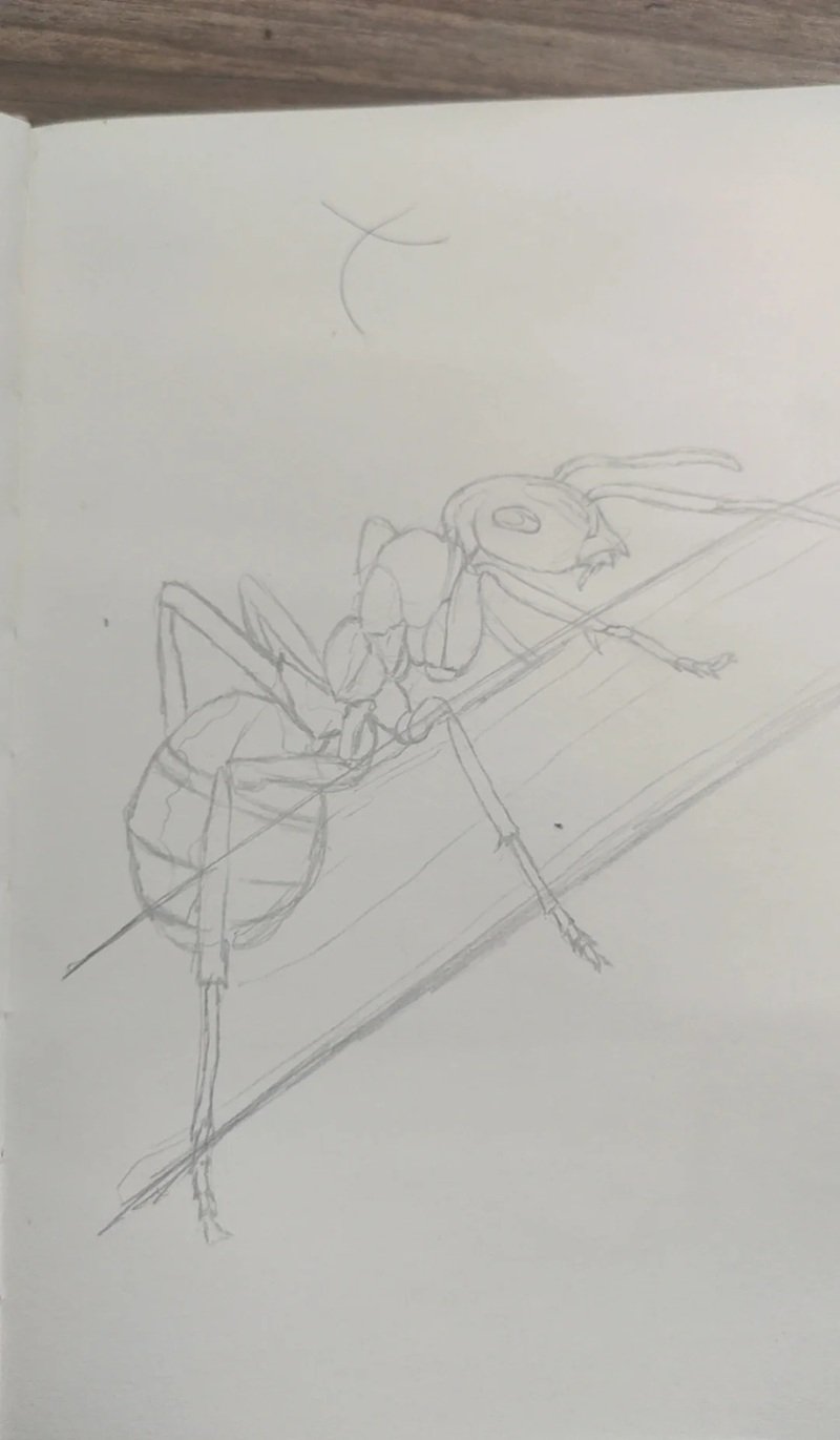 Con kiến vẽ 1