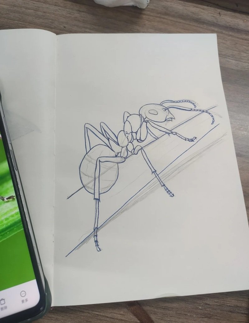 Con kiến vẽ 2