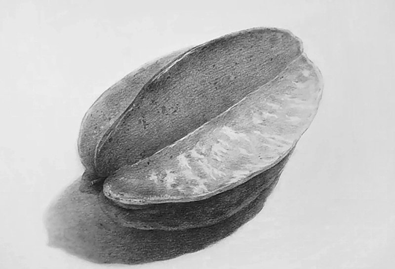 Hình ảnh quả khế vẽ
