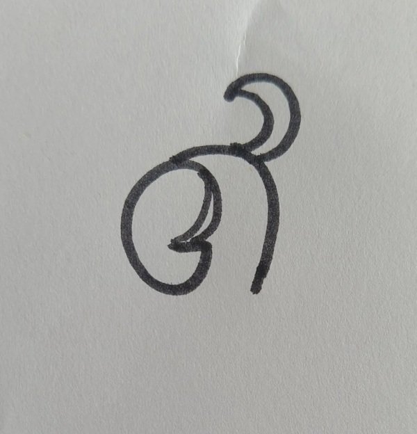 Hình vẽ con vẹt 3