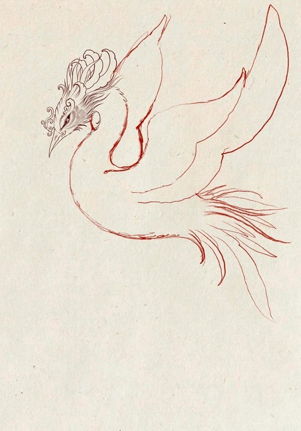 Hình vẽ phượng hoàng​ đẹp nhất  3