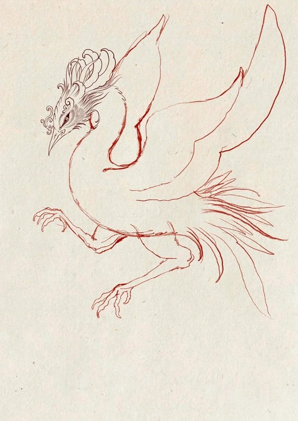 Hình vẽ phượng hoàng​ đẹp nhất  4
