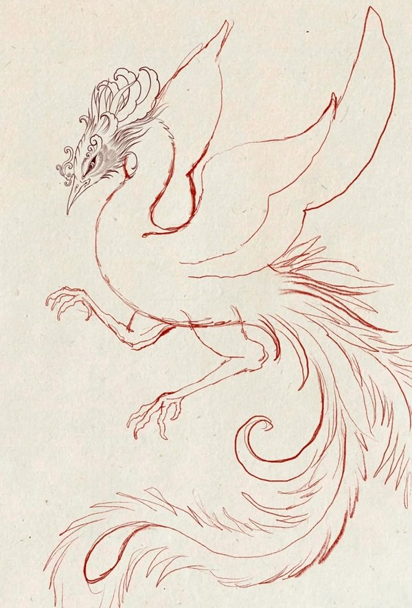 Hình vẽ phượng hoàng​ đẹp nhất  5