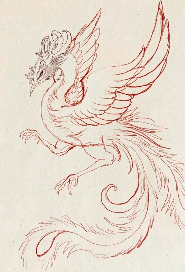 Hình vẽ phượng hoàng​ đẹp nhất 6