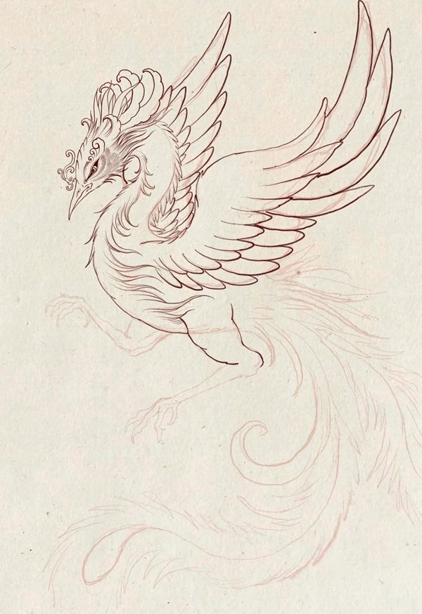 Hình vẽ phượng hoàng​ đẹp nhất 8
