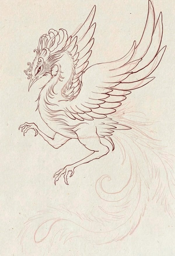 Hình vẽ phượng hoàng​ đẹp nhất 9