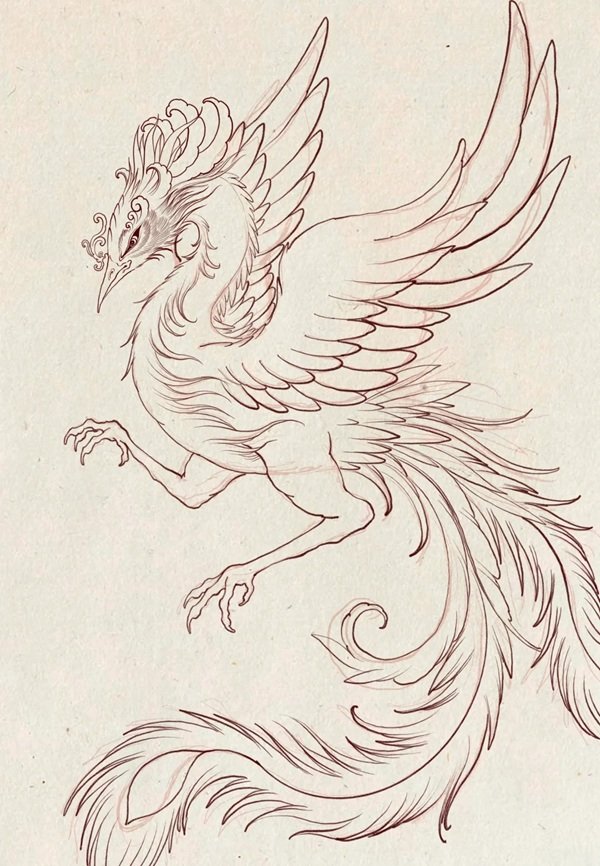 Hình vẽ phượng hoàng​ đẹp nhất  