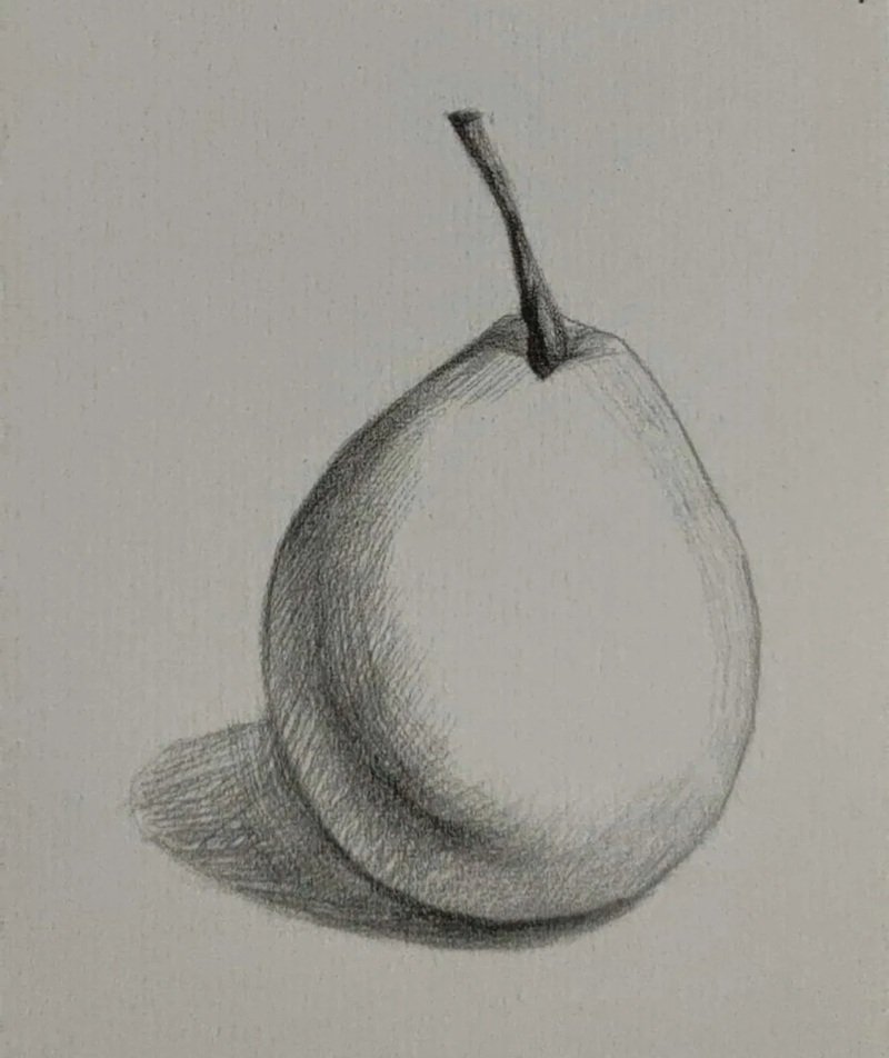 Hình vẽ quả bơ​ 4