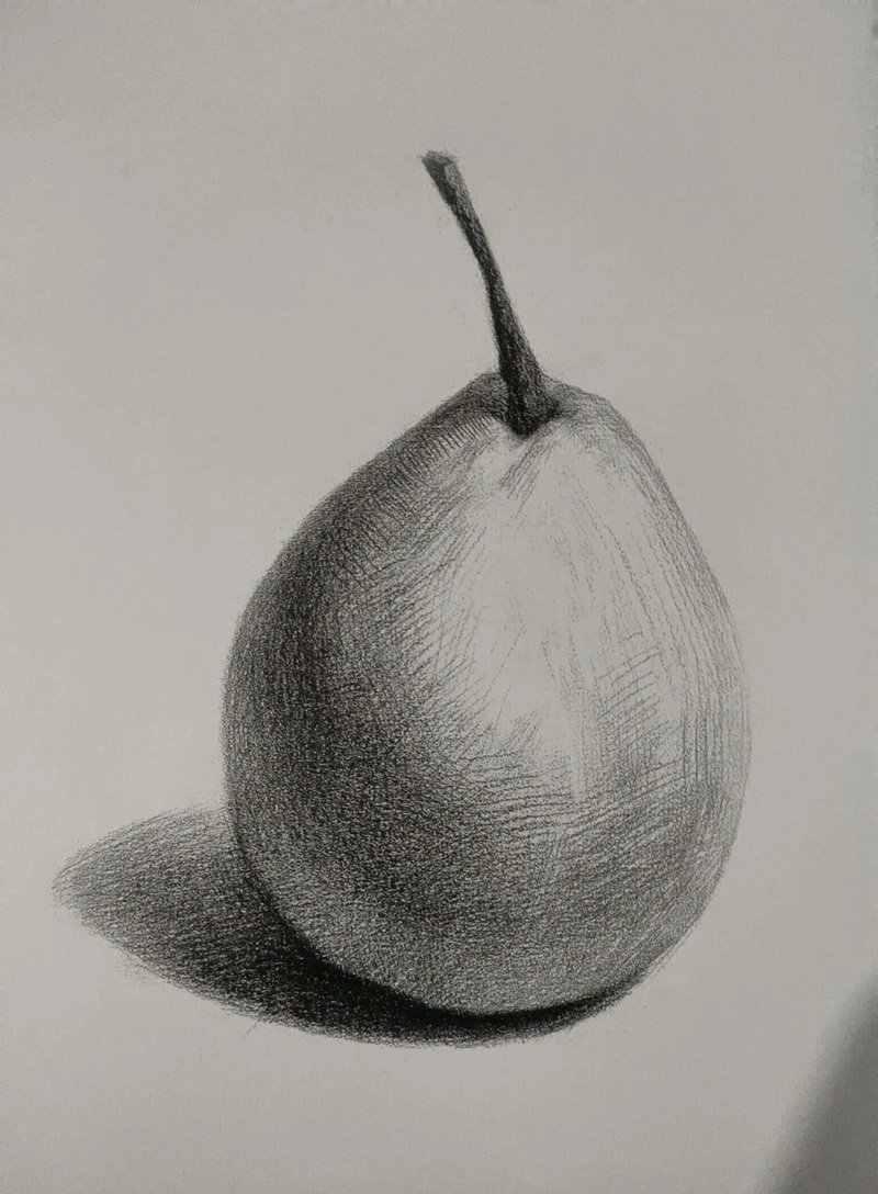 Hình vẽ quả bơ​ 