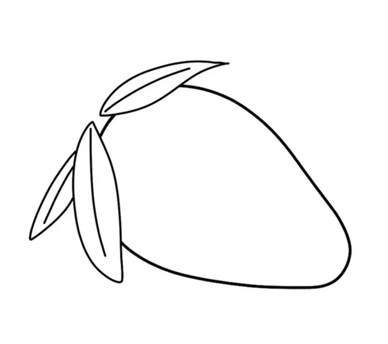 Hình vẽ quả xoài​ 2