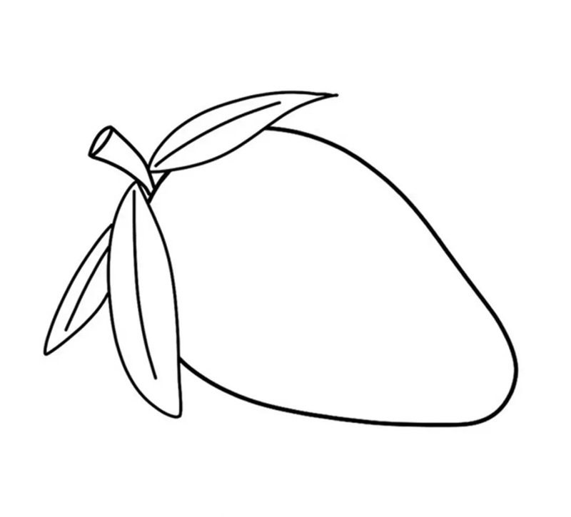 Hình vẽ quả xoài​ 4 