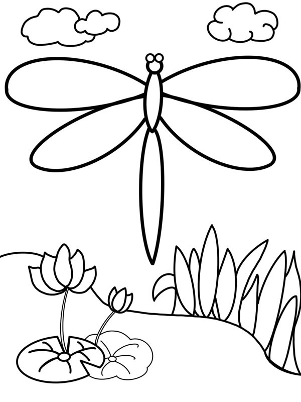 Vẽ chuồn chuồn 4