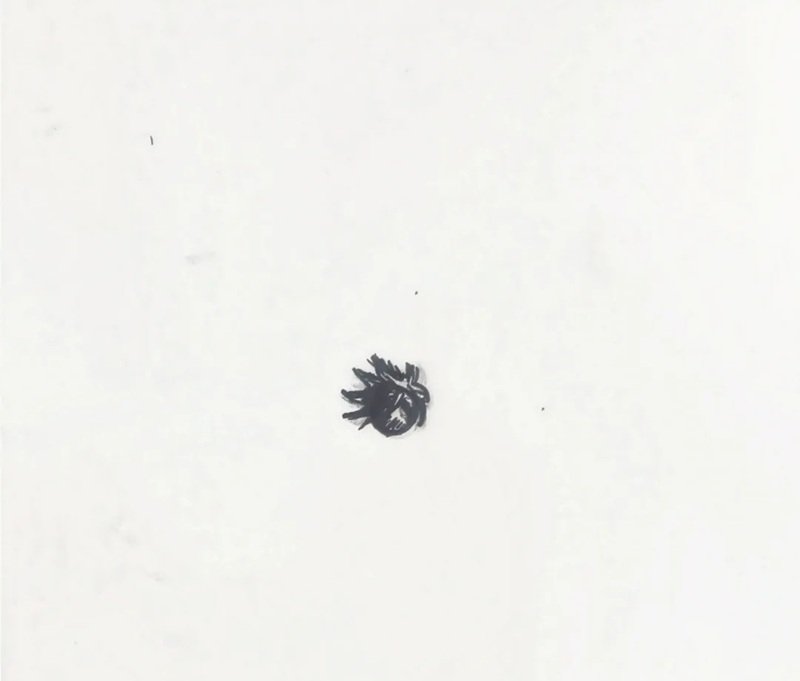 Vẽ hình người que​ 2