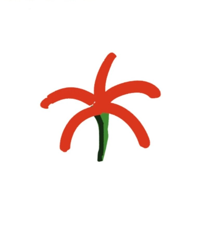 Vẽ hoa bỉ ngạn đơn giản​ 1