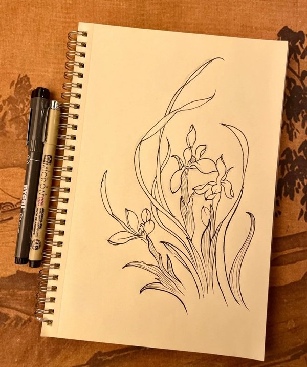 Vẽ hoa lan​ dễ vẽ 