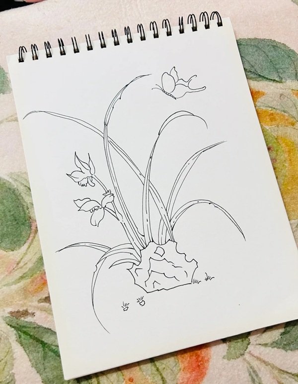 vẽ hoa lan​ đơn giản mà đẹp  