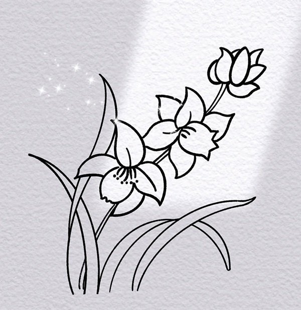 Vẽ hoa lan​ đơn giản 