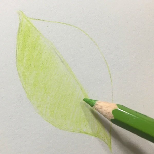 Vẽ lá cây đẹp​ 3