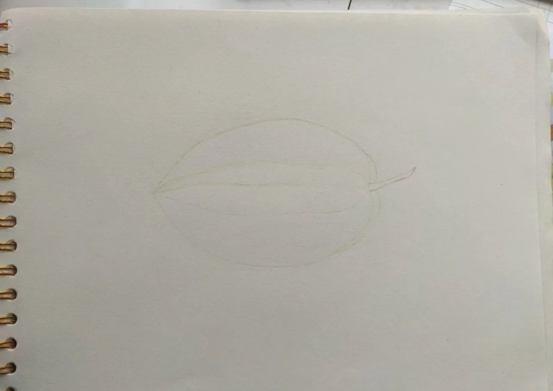 Vẽ quả khế đẹp 3