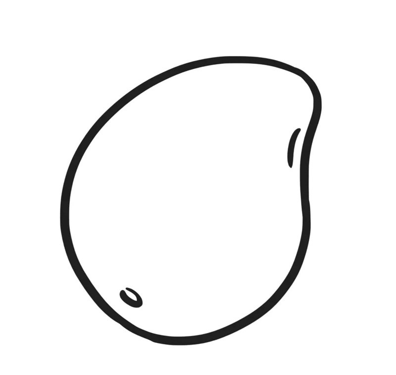 Vẽ quả xoài​ đơn giản  5