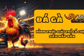 Đá gà SV388 – Tìm hiểu hình thức giải trí cá cược siêu hấp dẫn