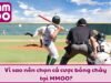 Cá Cược Bóng Chày Tại MMOO: Xu Hướng Làm Giàu Tiềm Năng 2025