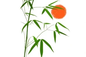 Tuyển chọn 18+ cách vẽ cây tre từ cơ bản tới nâng cao