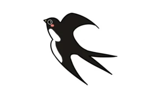 Tổng hợp 30+ cách vẽ chim én đơn giản – biểu tượng mùa xuân