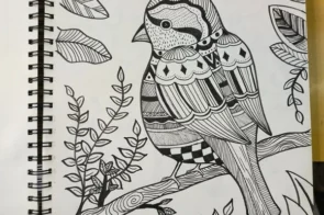 19+ cách vẽ con chim siêu dễ – có hình minh họa từng bước