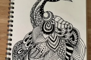 10+ cách vẽ con công dễ ơi là dễ – cho bé thỏa sức sáng tạo!