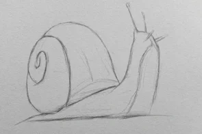 8+ cách vẽ con ốc đơn giản cho bé – ai cũng thử được!